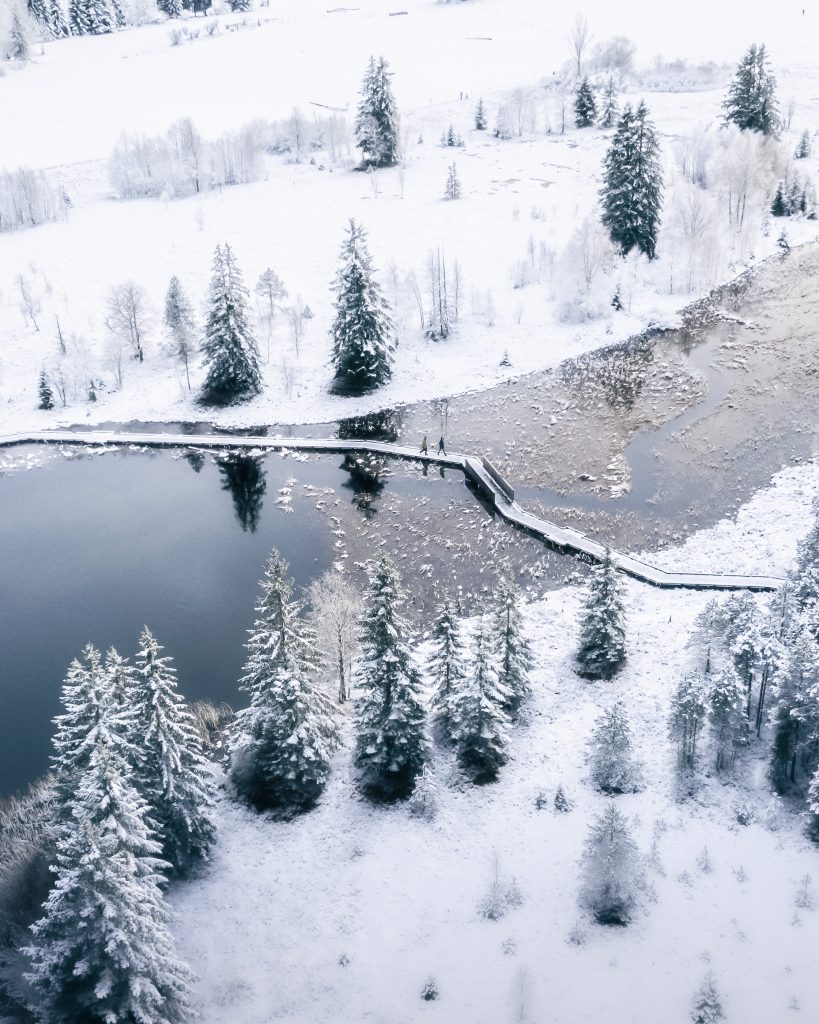 Gîte le Moulin des Scies Neuves - Les lacs en hiver