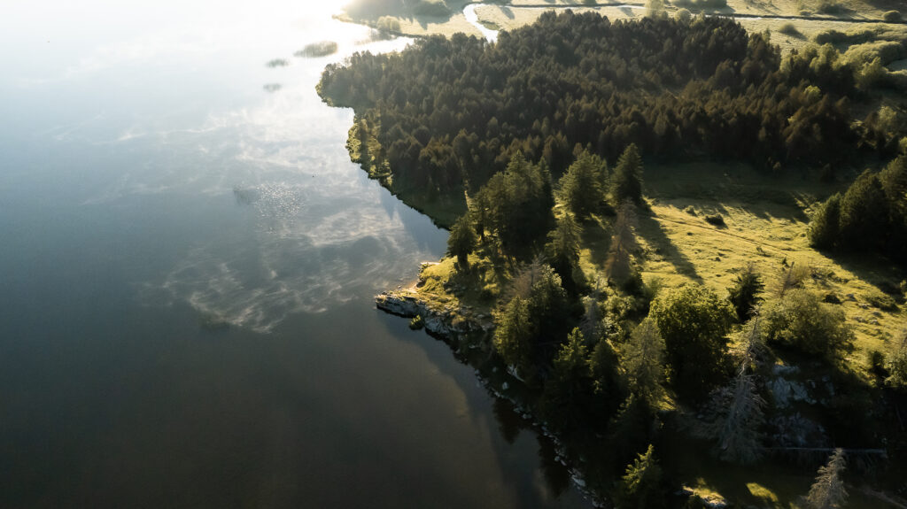 baignade au lac des Rousses en été dans le Haut-Jura